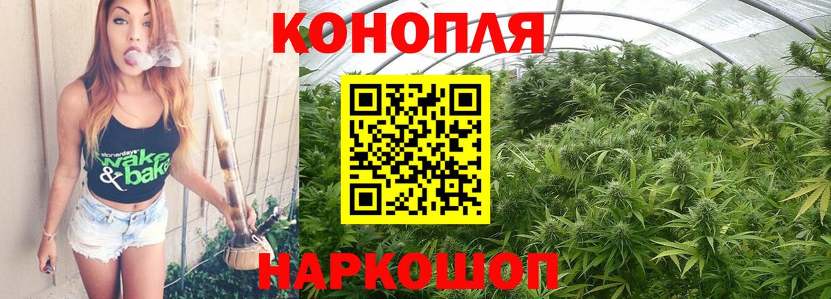 Конопля SATIVA & INDICA Глазов